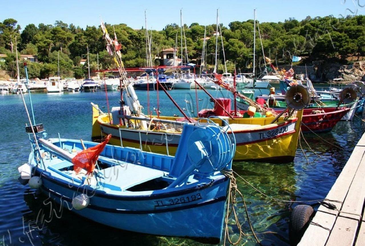 Magnifique Parc De La Presqu'Ile Avec Piscine Et Plage Face A Porquerolles ! 히에레 외부 사진