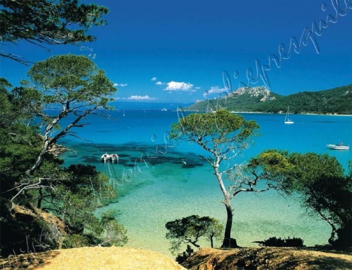 Magnifique Parc De La Presqu'Ile Avec Piscine Et Plage Face A Porquerolles ! 히에레 외부 사진
