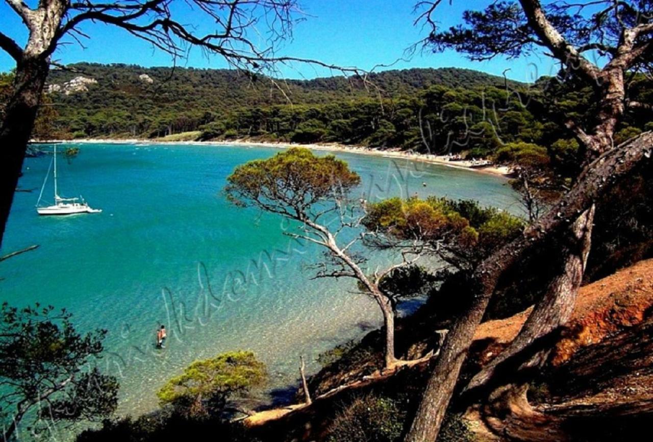 Magnifique Parc De La Presqu'Ile Avec Piscine Et Plage Face A Porquerolles ! 히에레 외부 사진